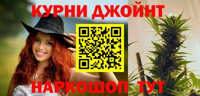 индика Ирбит