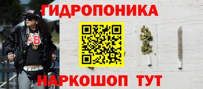 индика Ирбит