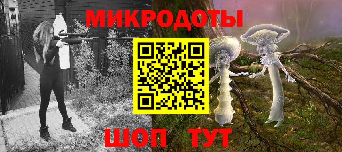Галлюциногенные грибы Psilocybine cubensis Куйбышев